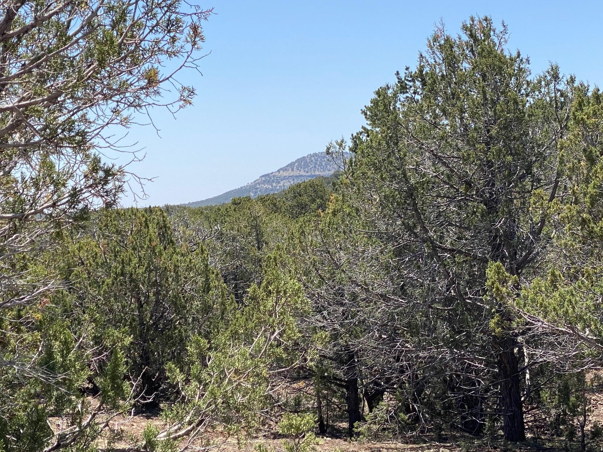 Lot 392 Westwood Ranch, Williams, AZ 86046 MLS 0203623214 Land