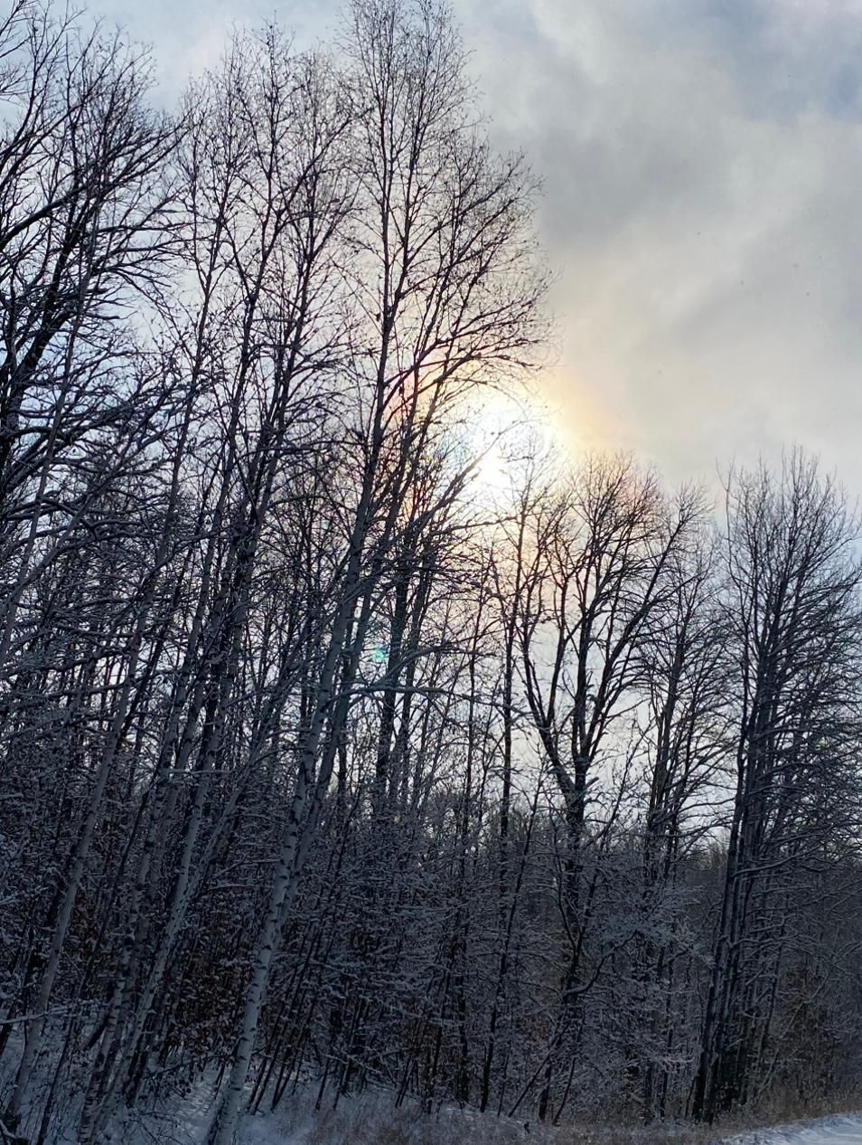 80 Acres, 20772 TOAD MOUNTAIN RD, Osage, MN 56570 Land and Farm