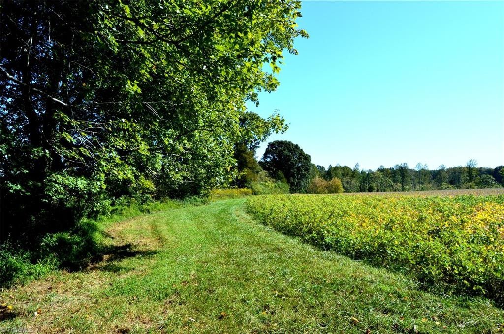 149 Acres, 00 Cherry Grove Road, Reidsville, NC 27320 Land and Farm