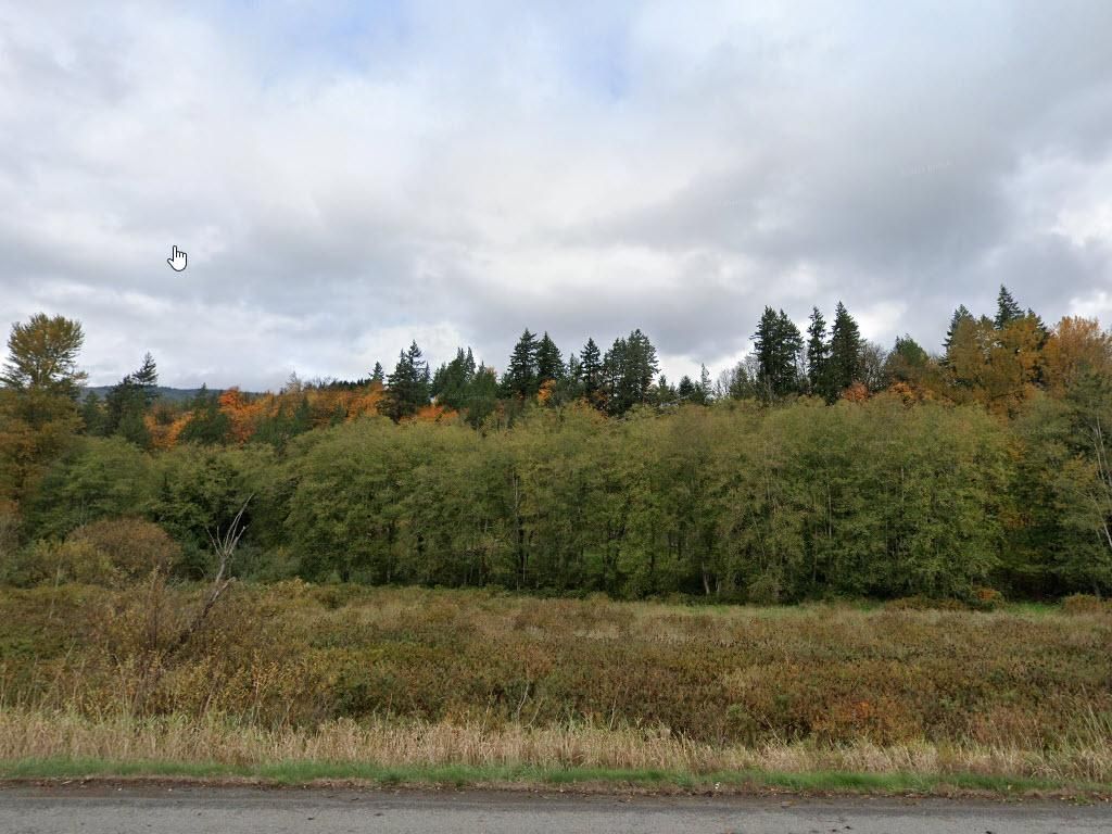 State Route 20, Lyman, WA 98284 MLS 2223080 Land and Farm