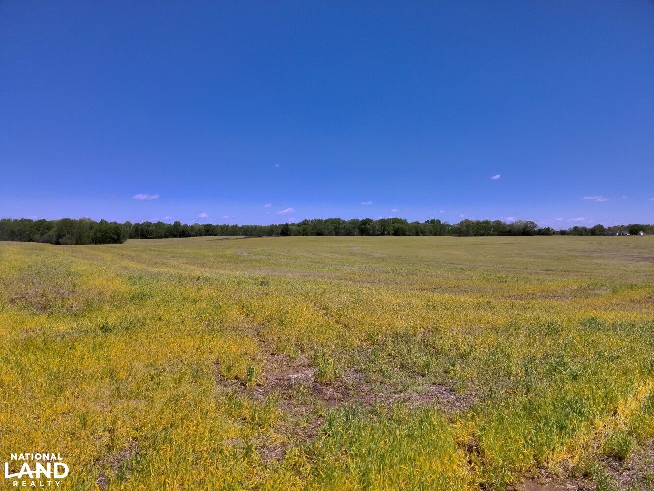 0 Highway 72, Athens, AL 35611 Land and Farm