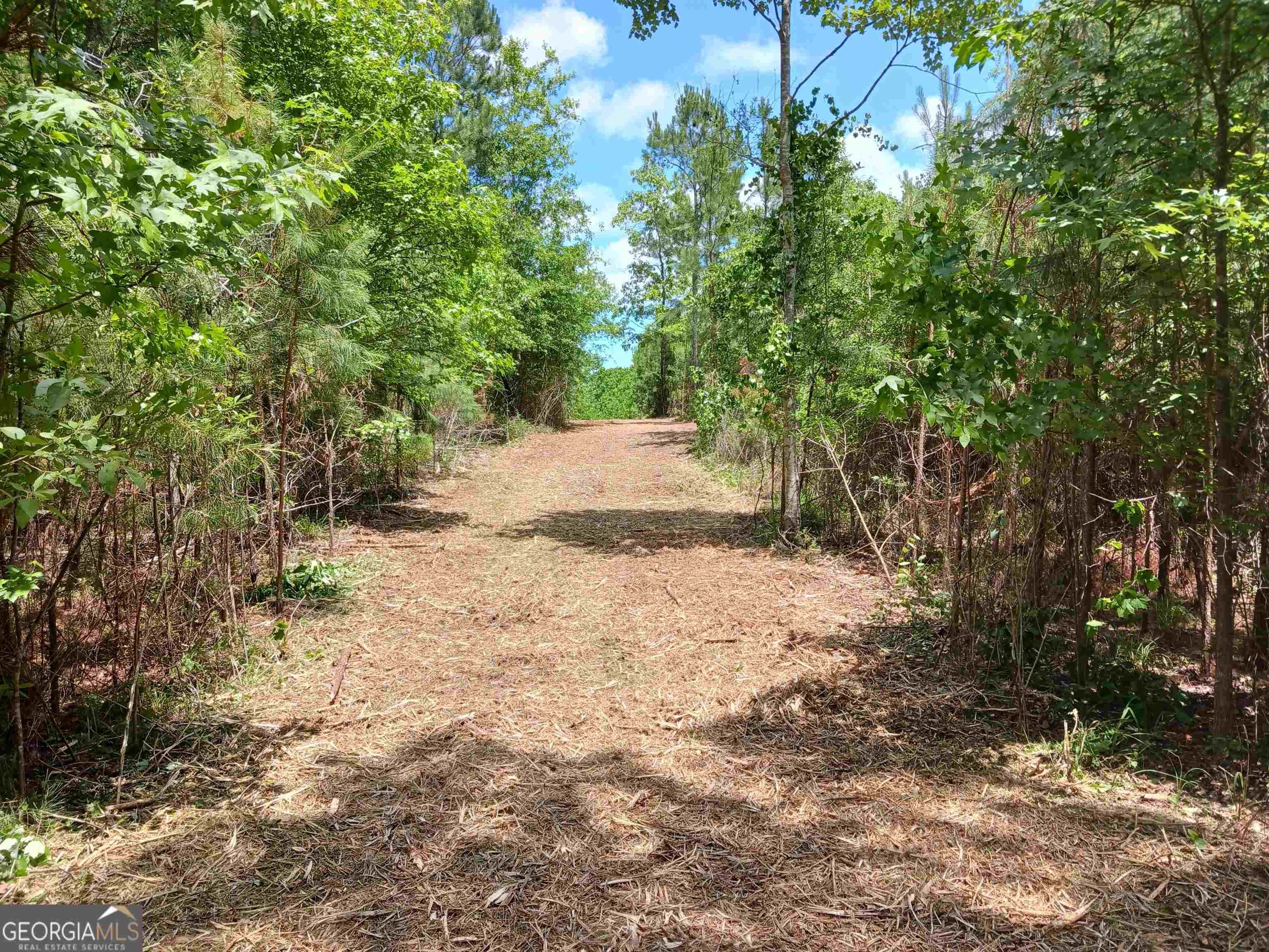 31 Acres, 1700 Brownlee, Jackson, GA 30233 Land and Farm