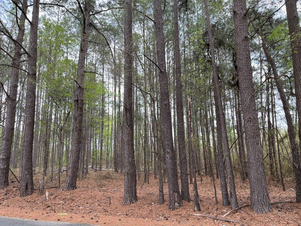 2 Acres, 0 Hickory Hill Rd, Eastover, SC 29044 Land and Farm