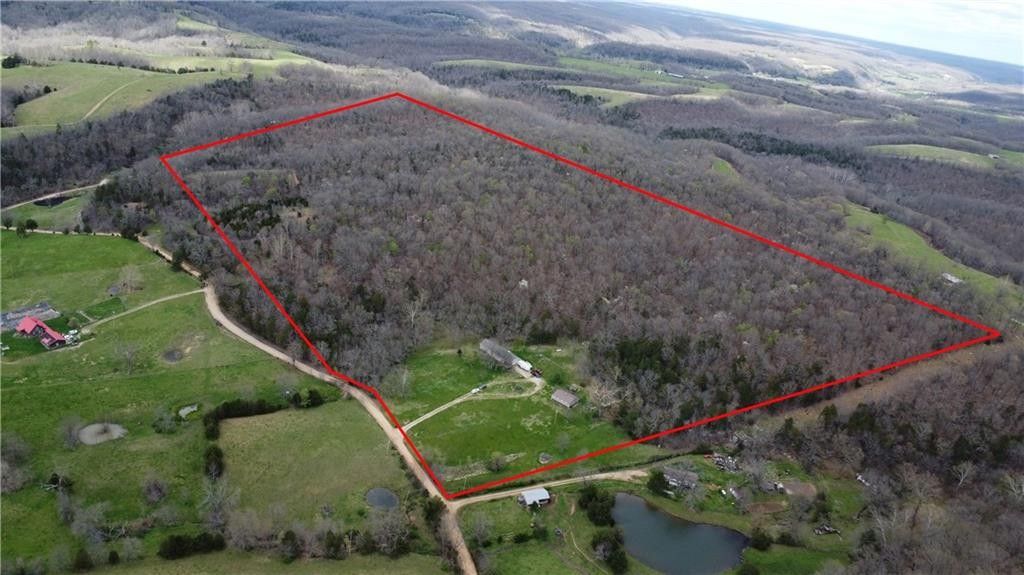 80 Acres, 1314 Buzzard Glory, Washburn, MO 65772 Land and Farm