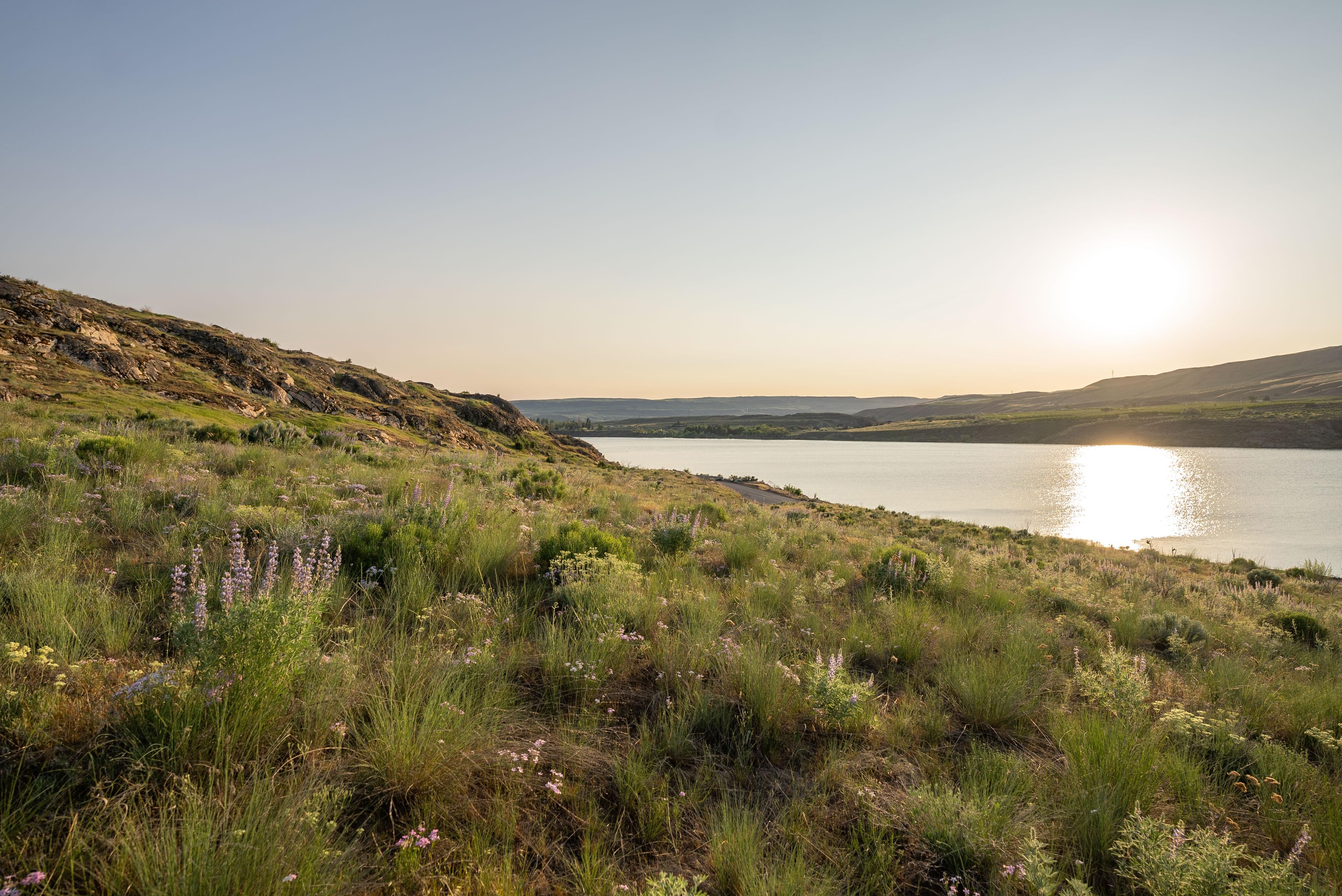 Highland Orchard Rd, Bridgeport, WA 98813 MLS 2223608 Land and Farm