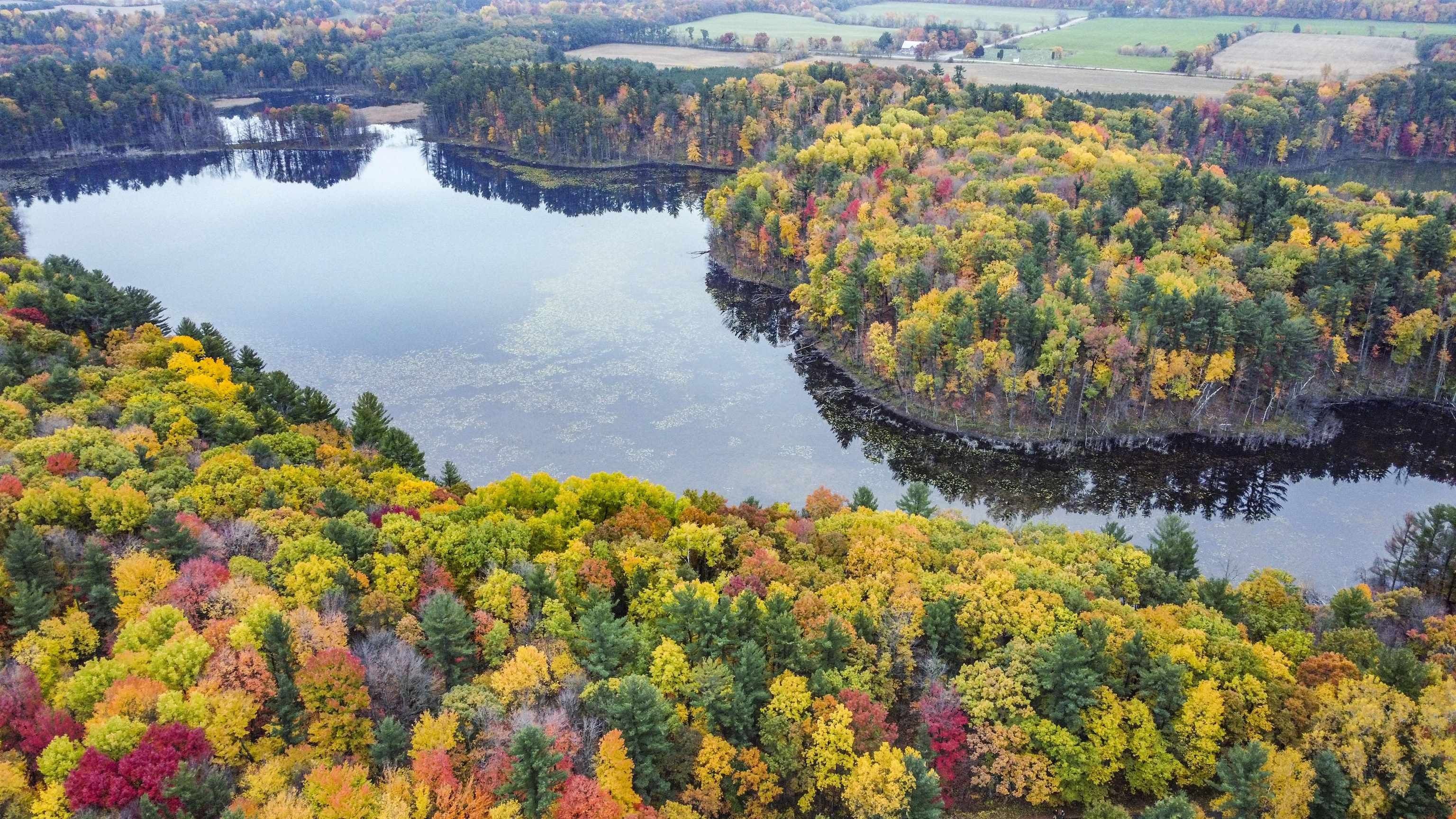 10492 County Road MM, Amherst Junction, WI 54407 MLS 1975129 Land