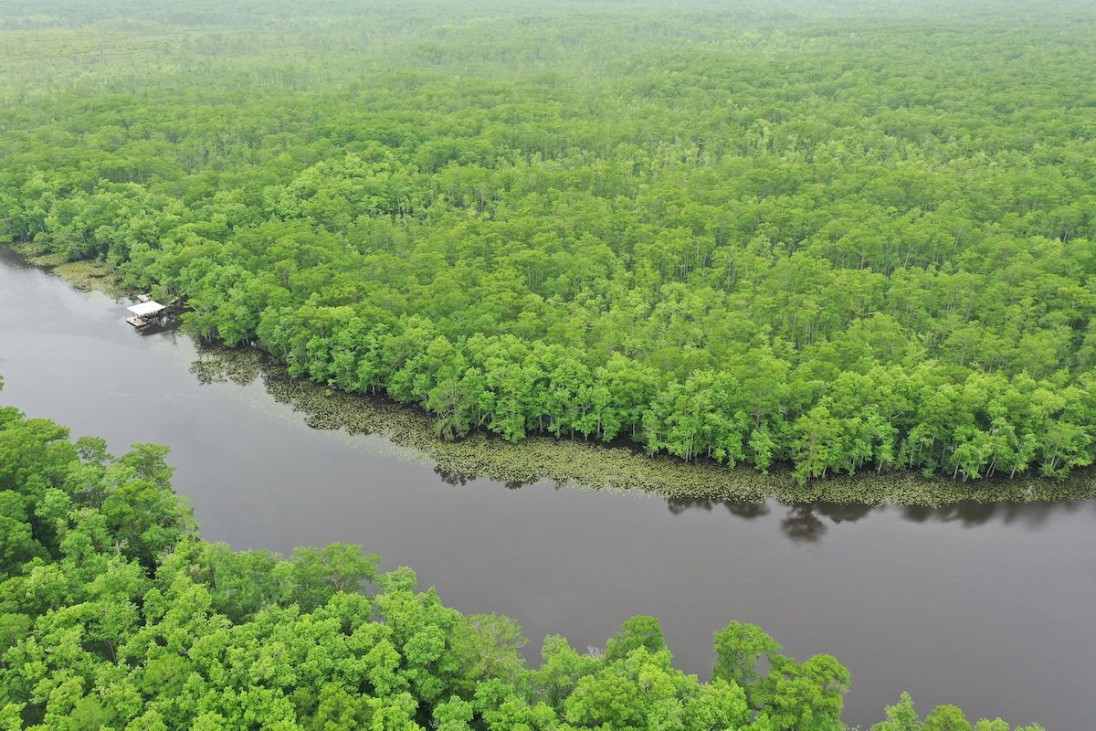 Natalbany River, LotWP001, Springfield, LA 70462 Land and Farm