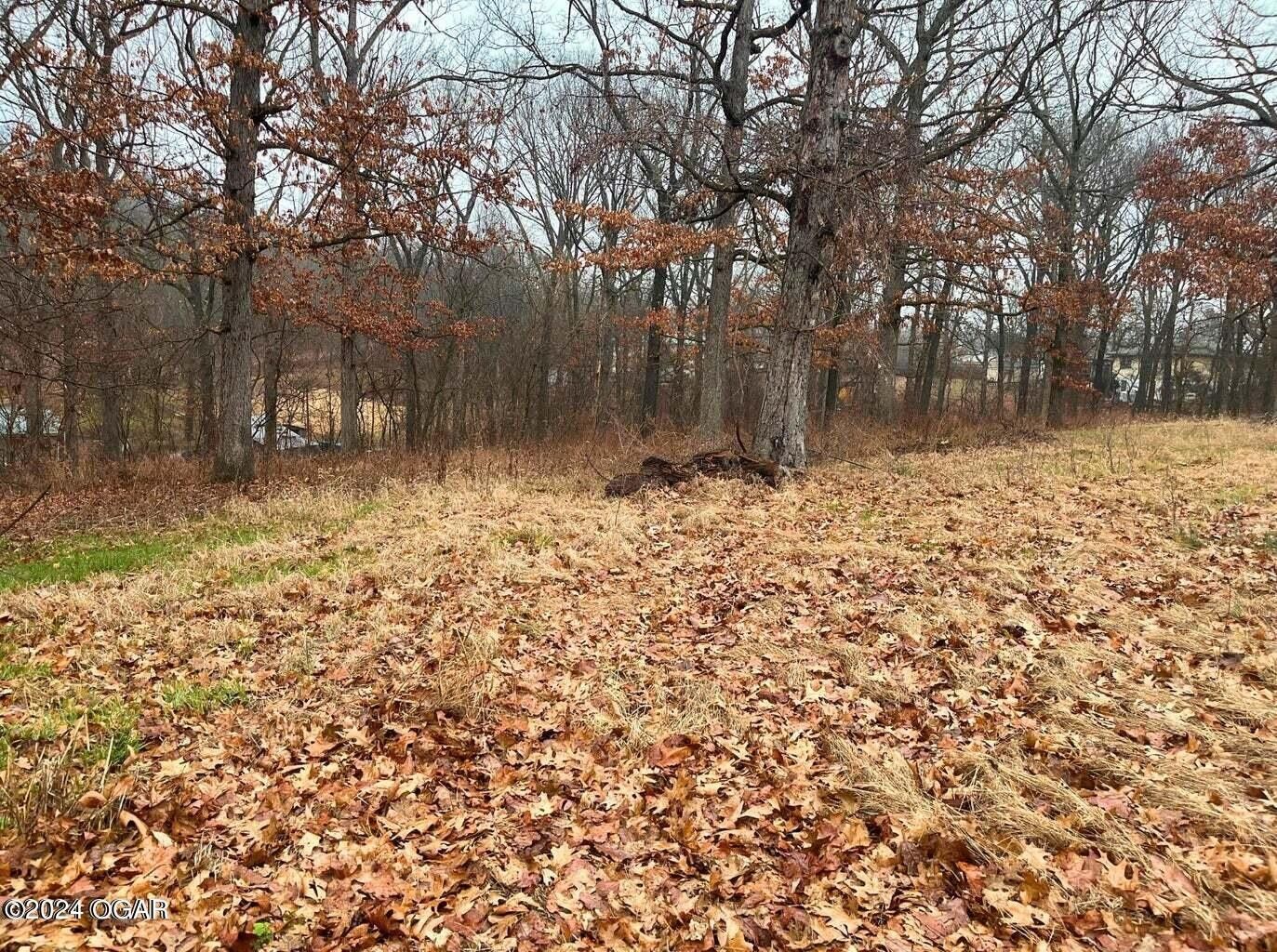 1.29 Acres, 7071,75 Lot Harmon & St. Clair Hill, Noel, MO 64854 Land