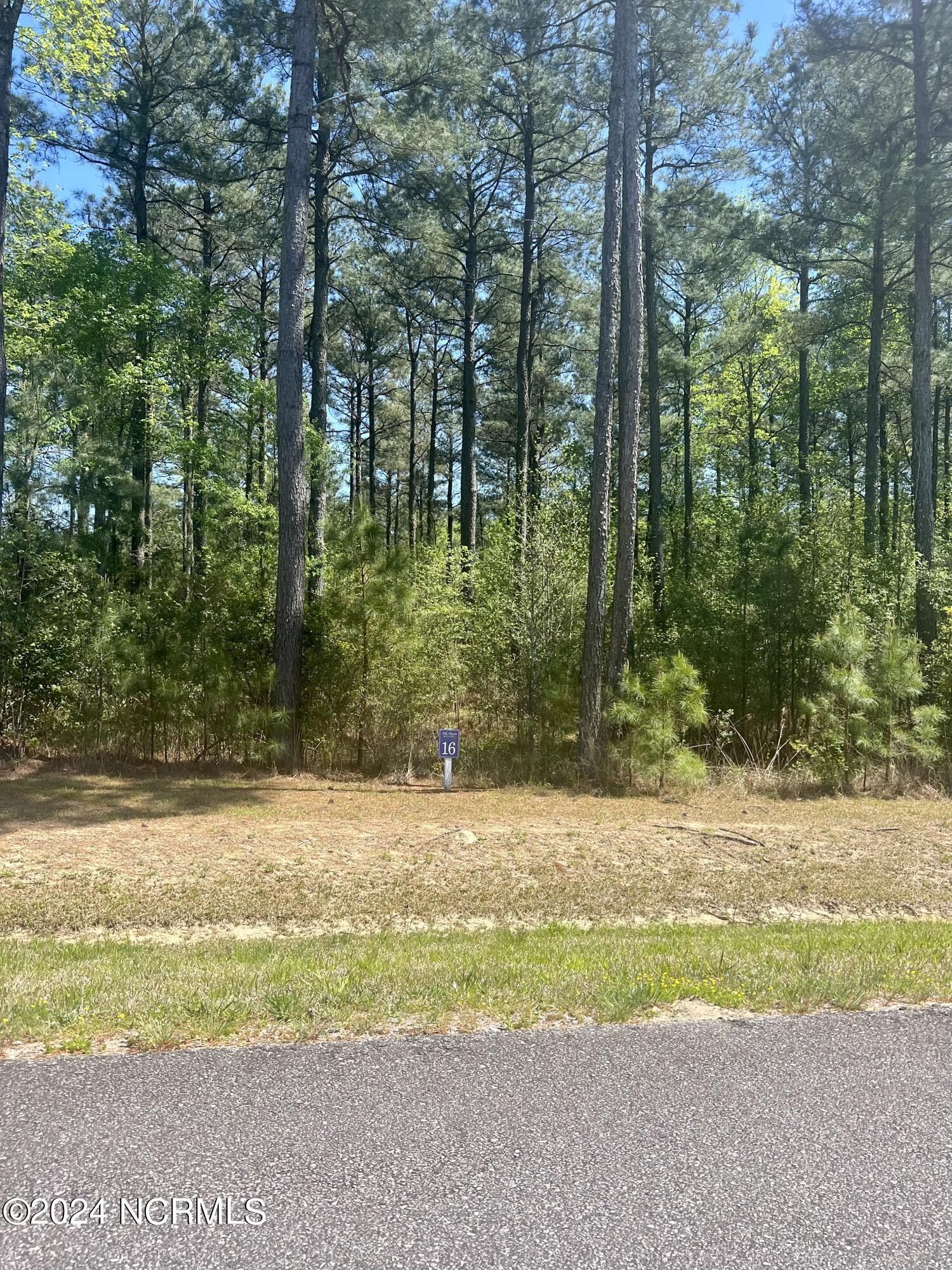 10.11 Acres, 236 Riversound Drive, Edenton, NC 27932 Land and Farm