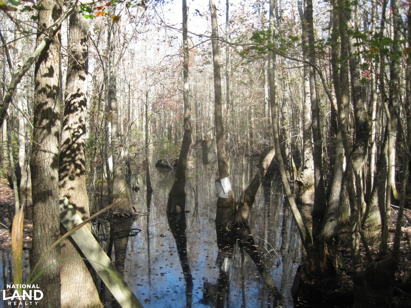 Fronting I95 and Little Pee Dee River, Dillon, SC 29536 Land and Farm
