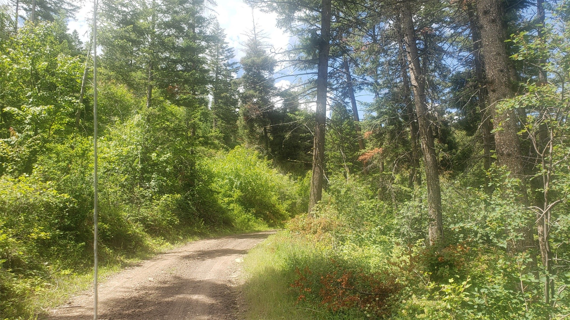 Lot 20 Arlee Pines, Arlee, MT 59821 MLS 30008360 Land and Farm