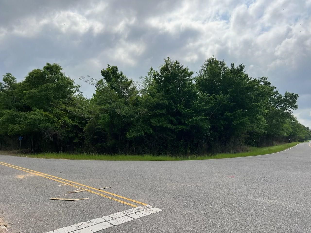 19 acres in Cuba, AL, 36907 MLS 19 Acre Sumter County Corner