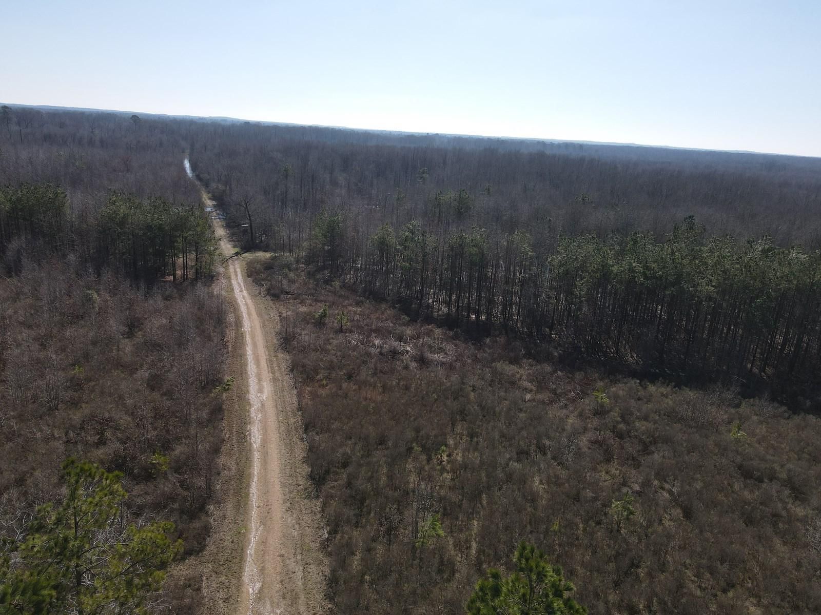 00 Nevada County Road 23, Prescott, AR 71857 MLS 0310623002 Land