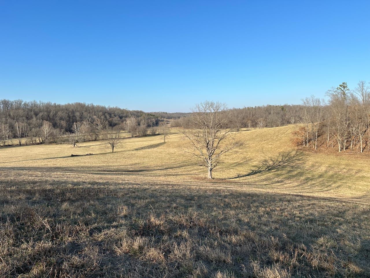 County Road 306, Van Buren, MO 63965 Land and Farm