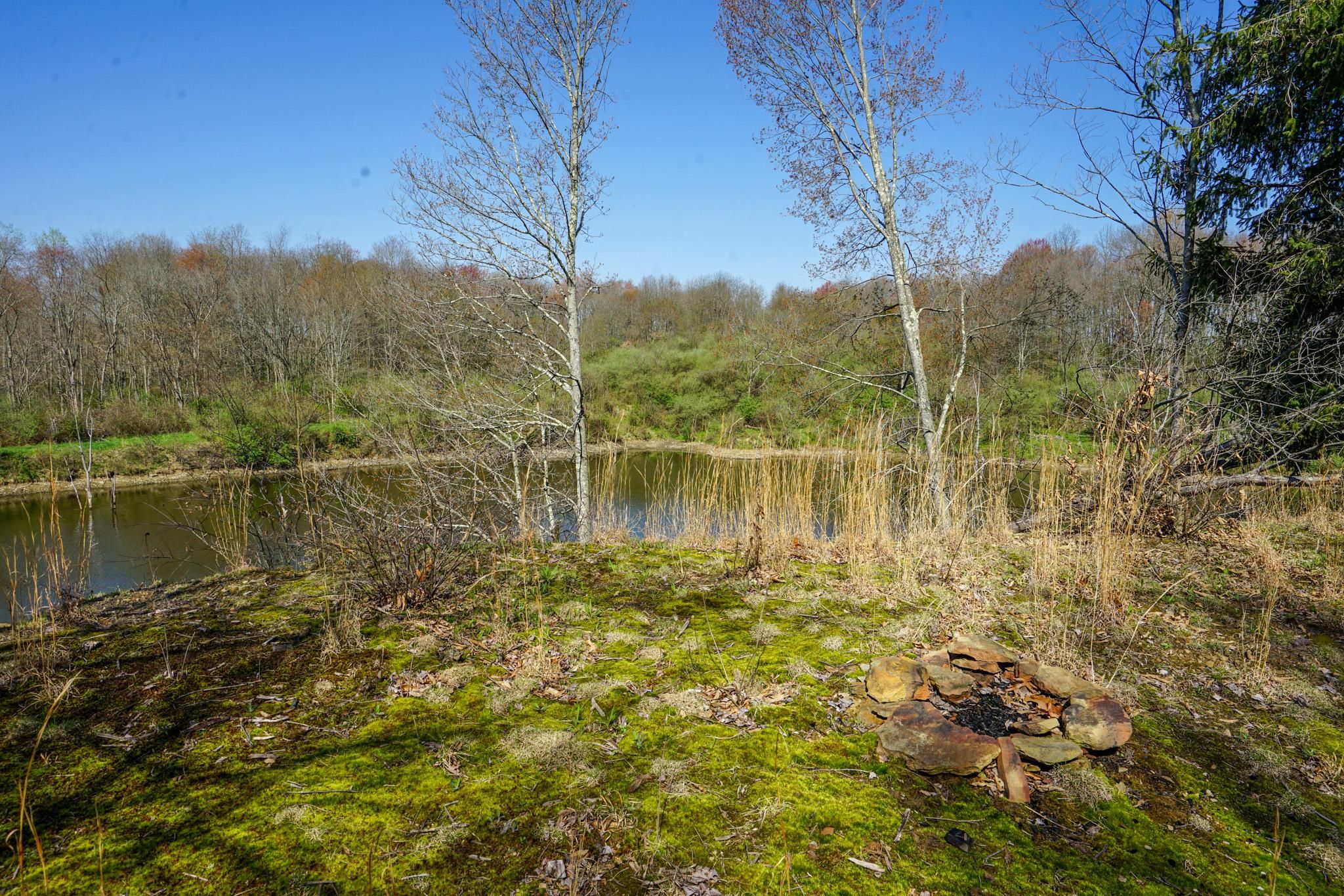 111.54 Acres, Twp Rd 203A, Bloomingdale, OH 43910 Land and Farm