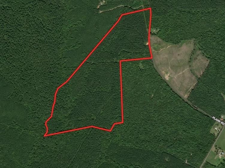 114 Acs Plank Road, Kenbridge, VA 23944 MLS 69102 Land and Farm