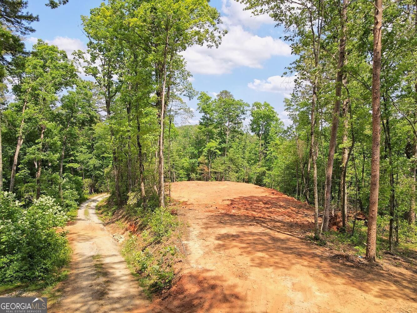 0 Mystic Warrior, Clayton, GA 30525 | MLS: 20103283 | Land and Farm