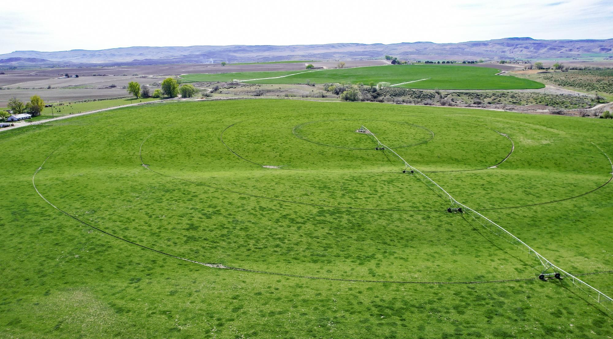 95 Acres, Hill Road, Boise, ID 83628 Land and Farm