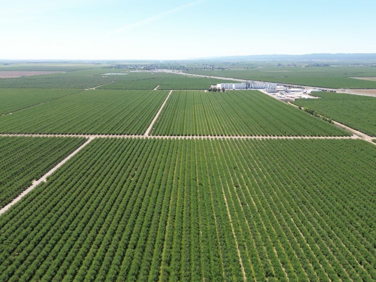 0000 Hahn Road, Arbuckle, CA 95912 MLS 241821 Land and Farm