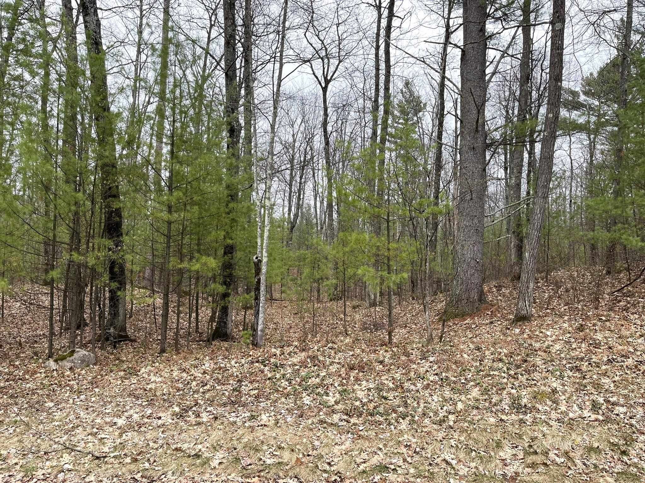 4.17 Acres, Lot 2 LAKE YAWKEY DRIVE, Hazelhurst, WI 54531 Land and Farm