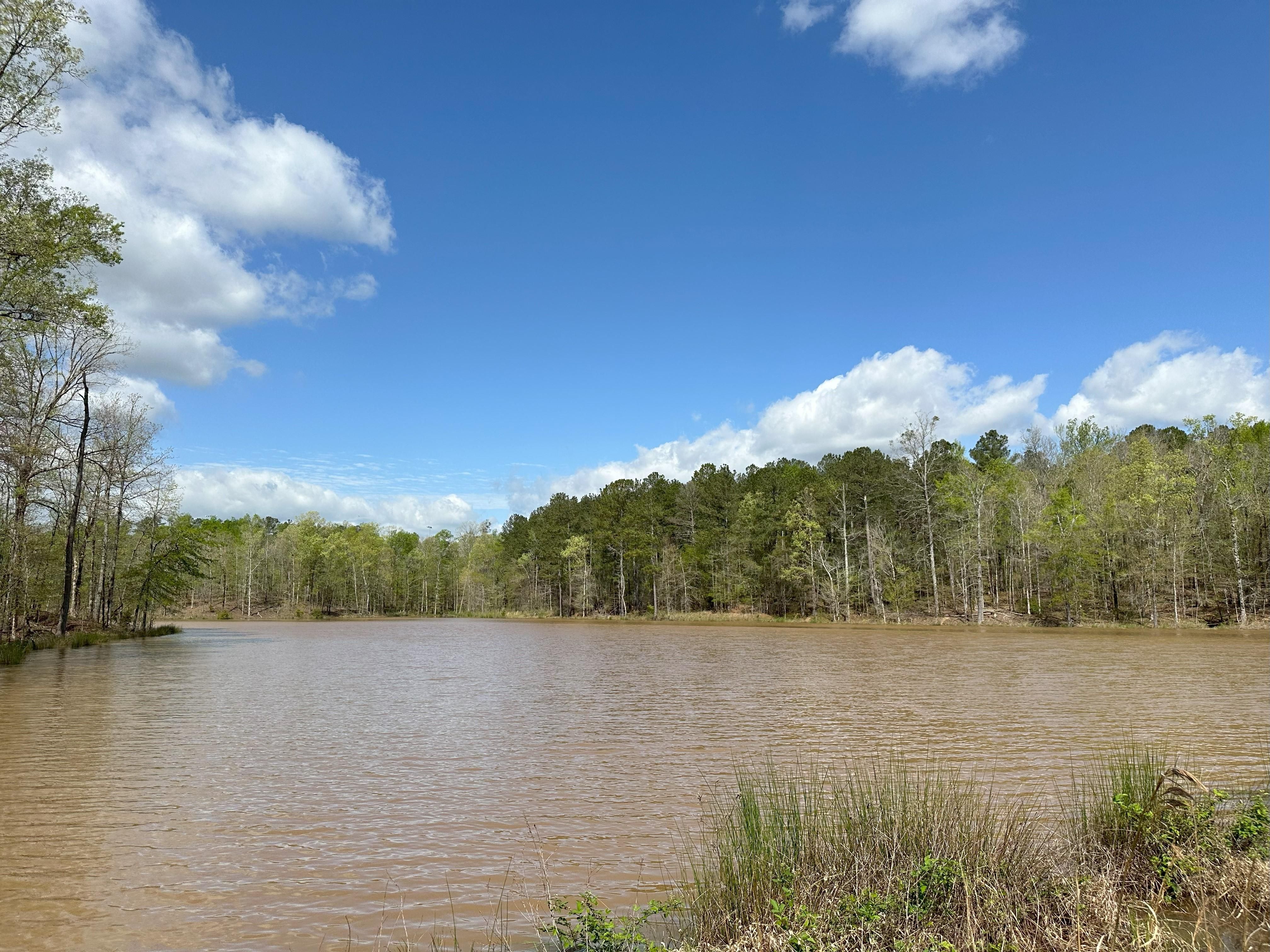 Carey Station Road, Greensboro, GA 30642 Land and Farm