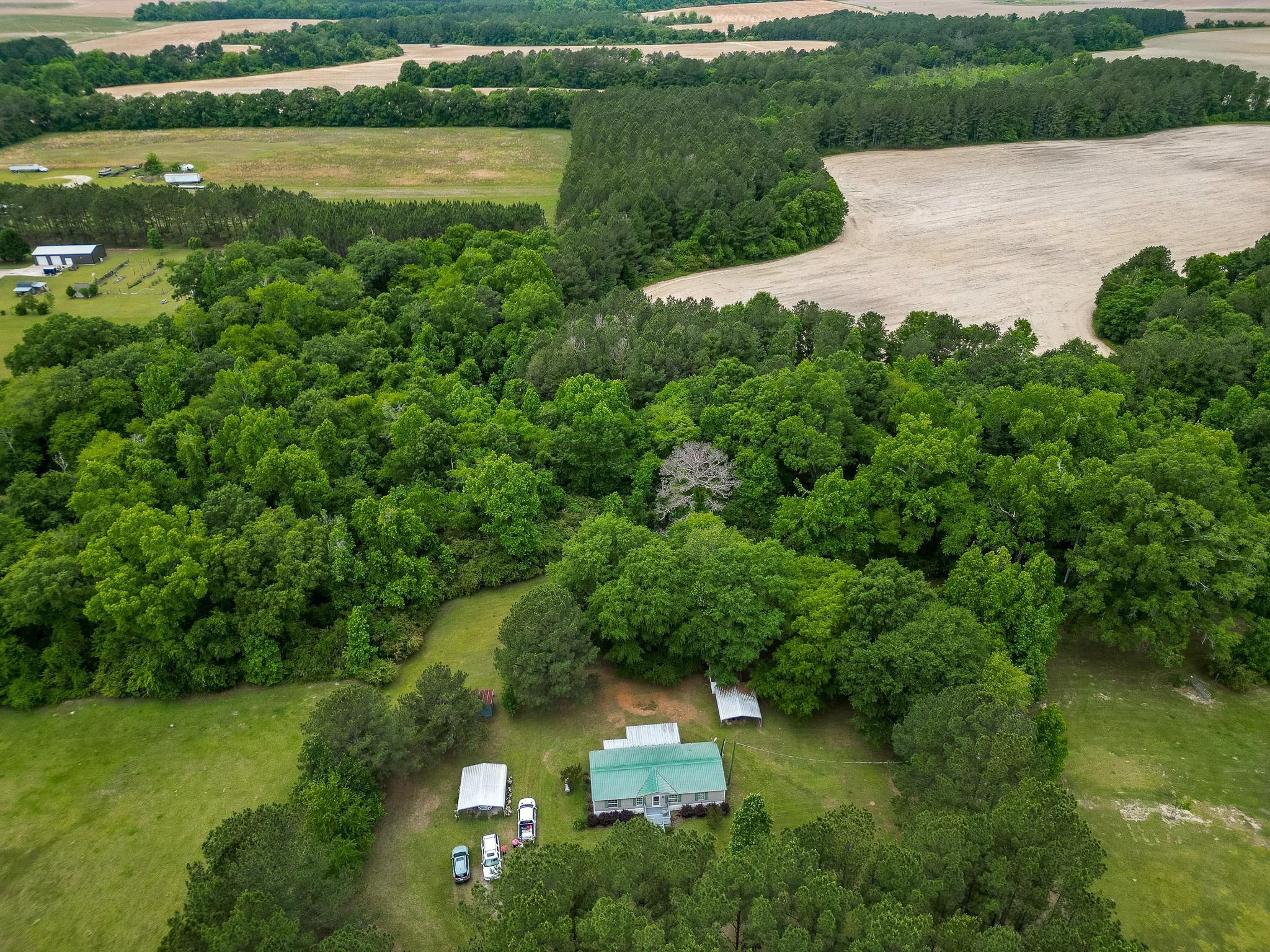 885 LeslieLamar Rd, Leslie, GA 31764 Land and Farm