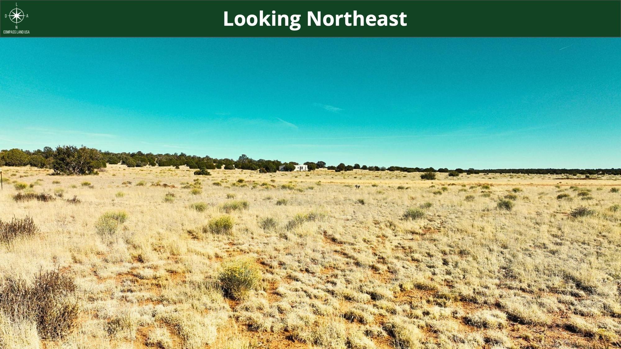 158 Park Rd, Seligman, AZ 86337 MLS 6680072 Land and Farm