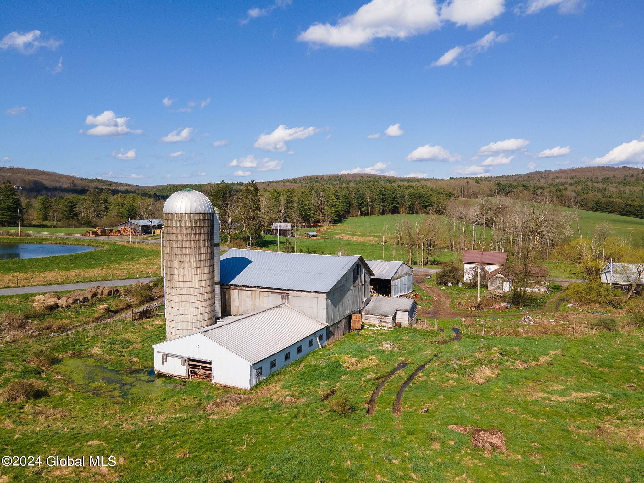 1007 County Highway 6, Otego, NY 13825 MLS 202416627 Land and Farm