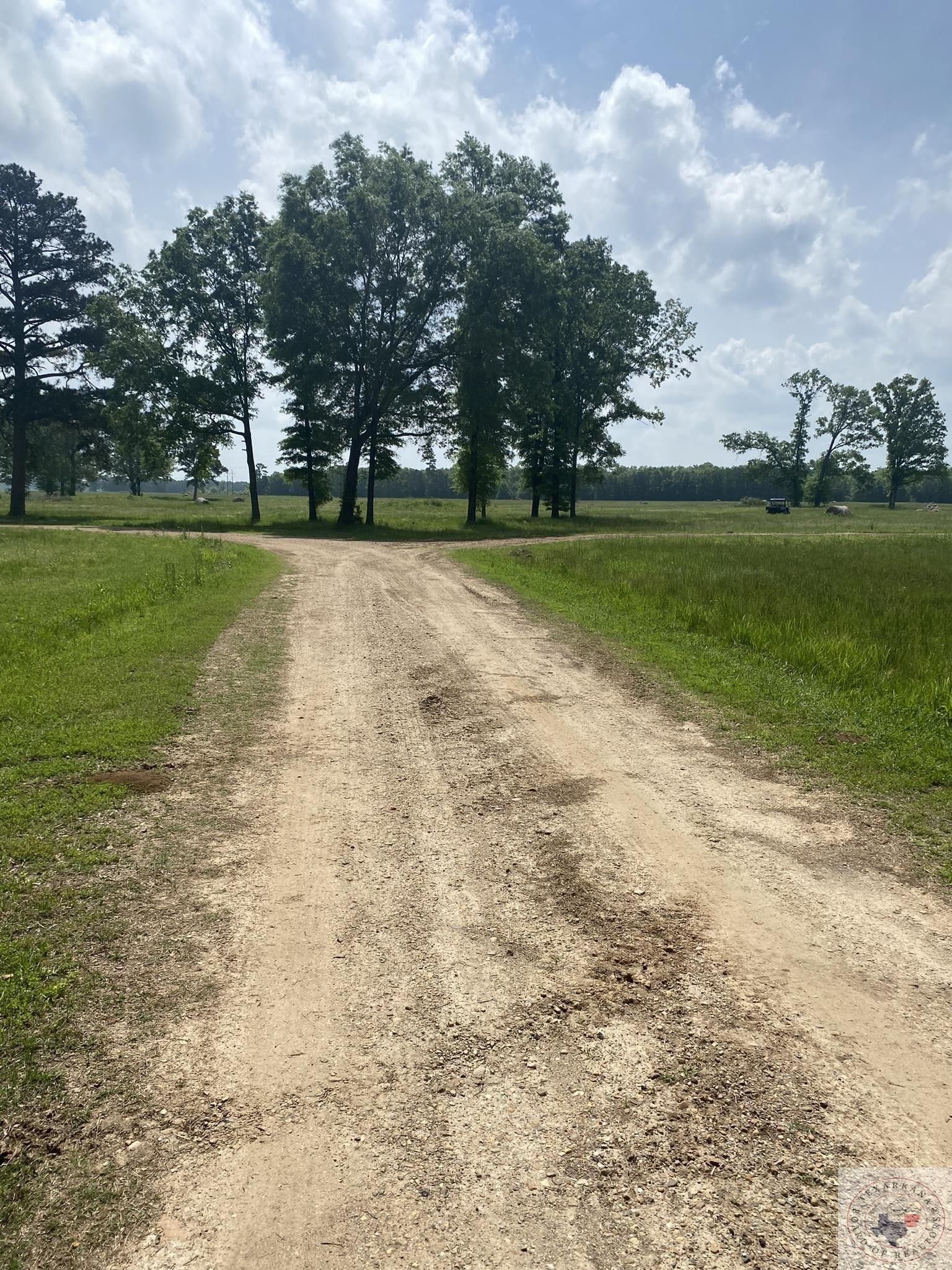 140 Acres, 2631 CR 4215, Simms, TX 75574 Land and Farm