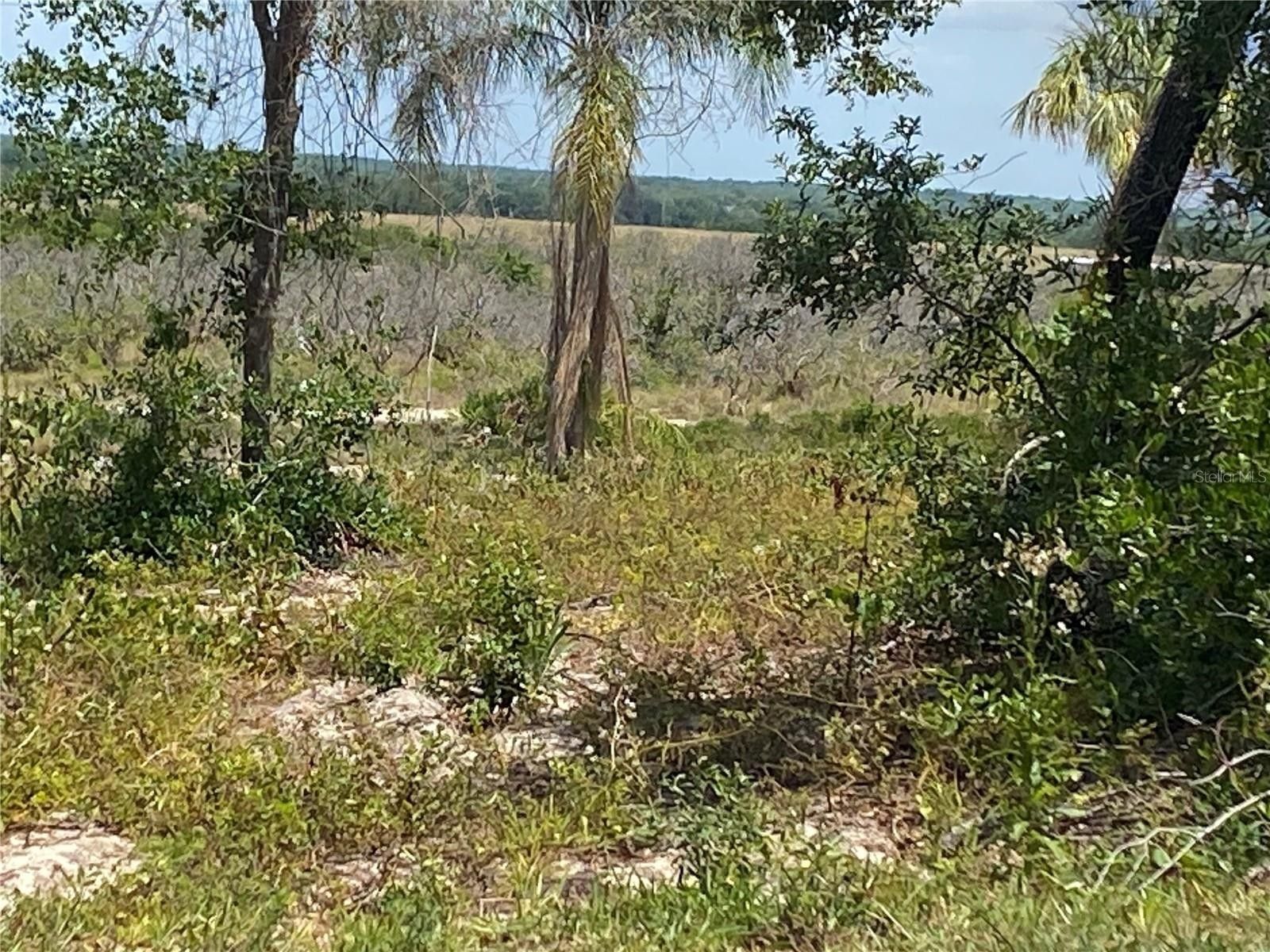 MOUNTAIN DRIVE, Babson Park, FL 33827 MLS P4930135 Land and Farm