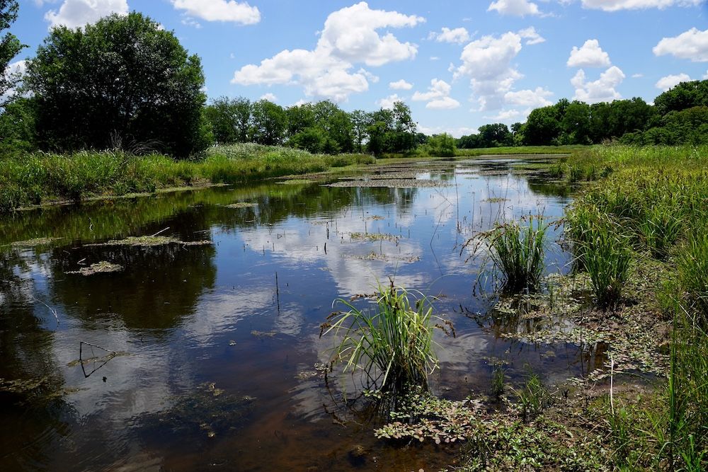RR. N2630 Rd./ 132S11W, Walters, OK 73572 Land and Farm