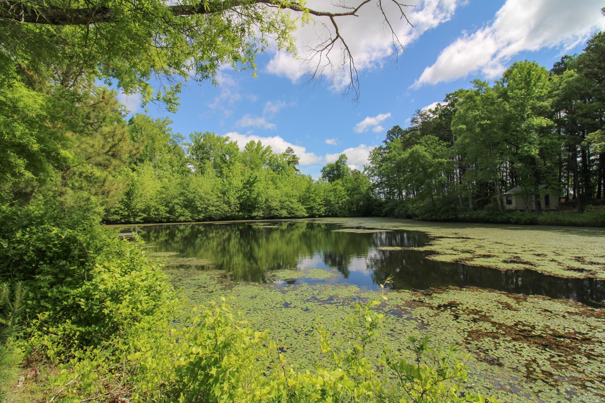 3857 Renan Road, Gretna, VA 24557 Land and Farm