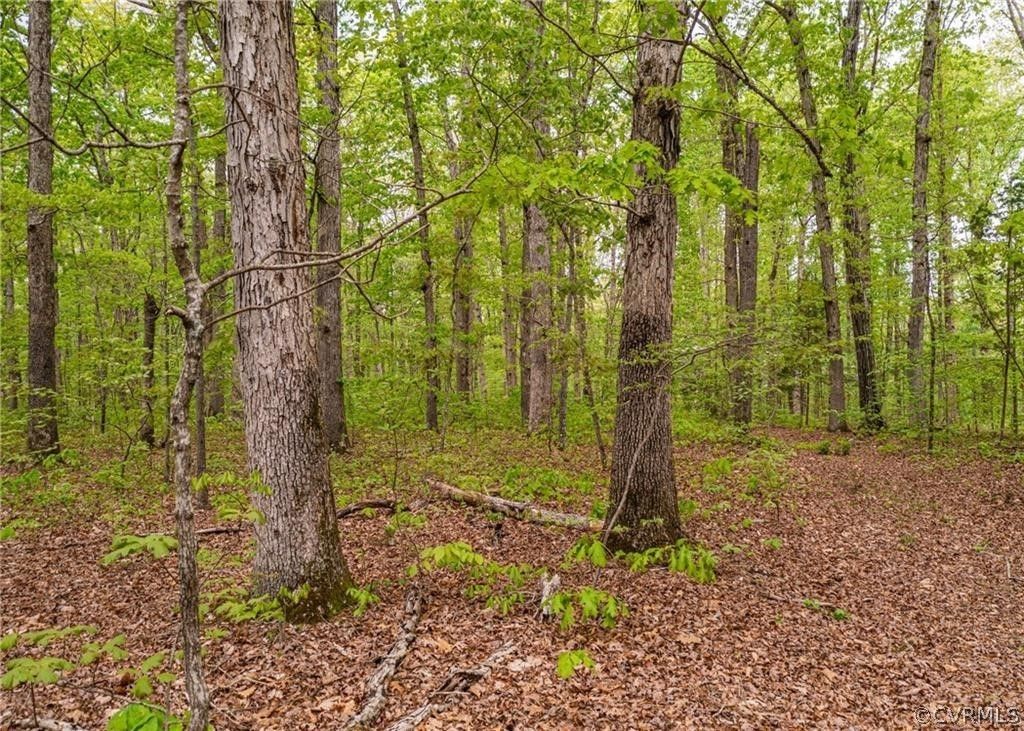 17.58 Acres, 01 Petersburg Road, Powhatan, VA 23139 Land and Farm