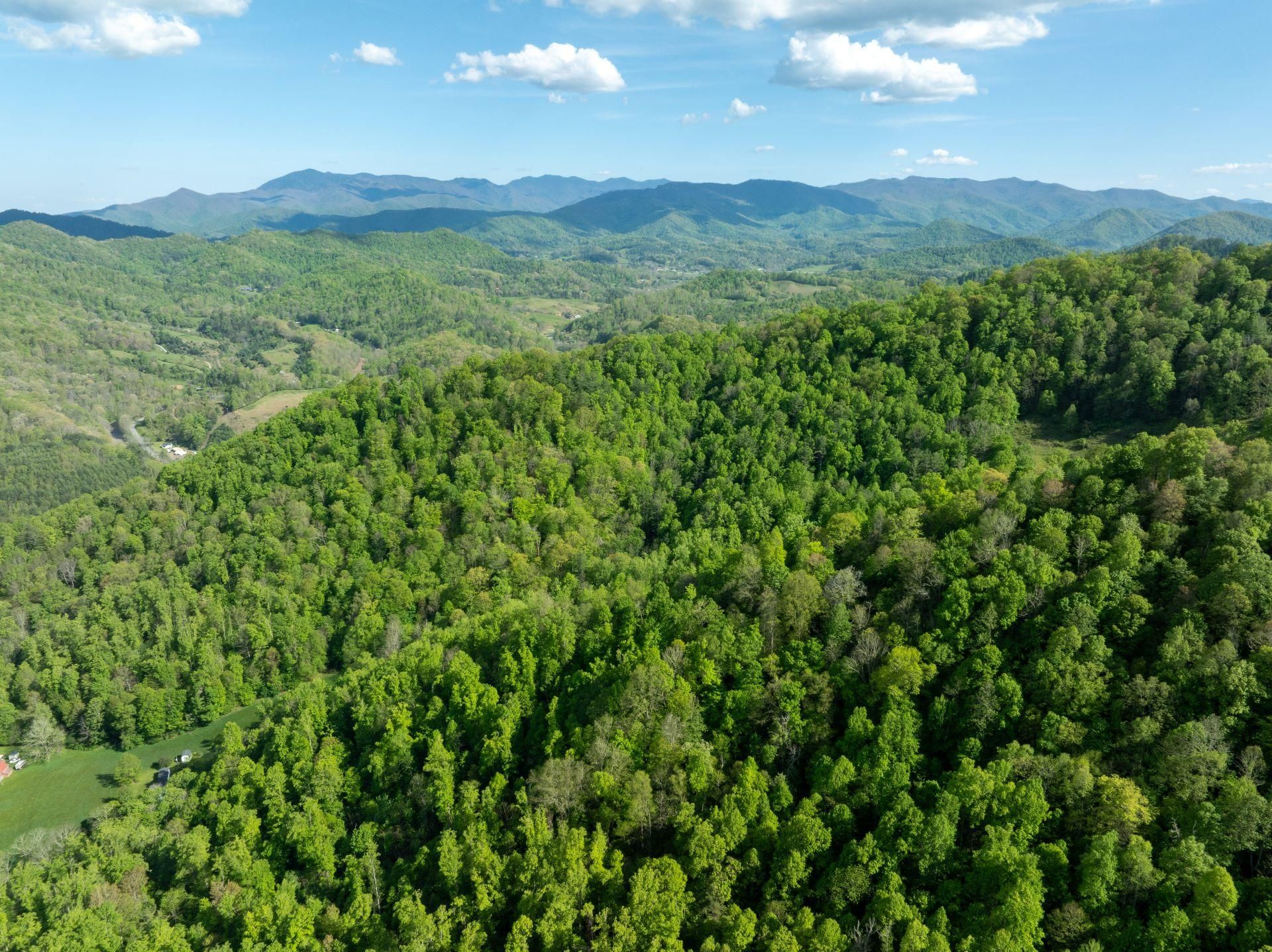 Elk Shoals Creek Rd, Burnsville, NC 287140556 Land and Farm