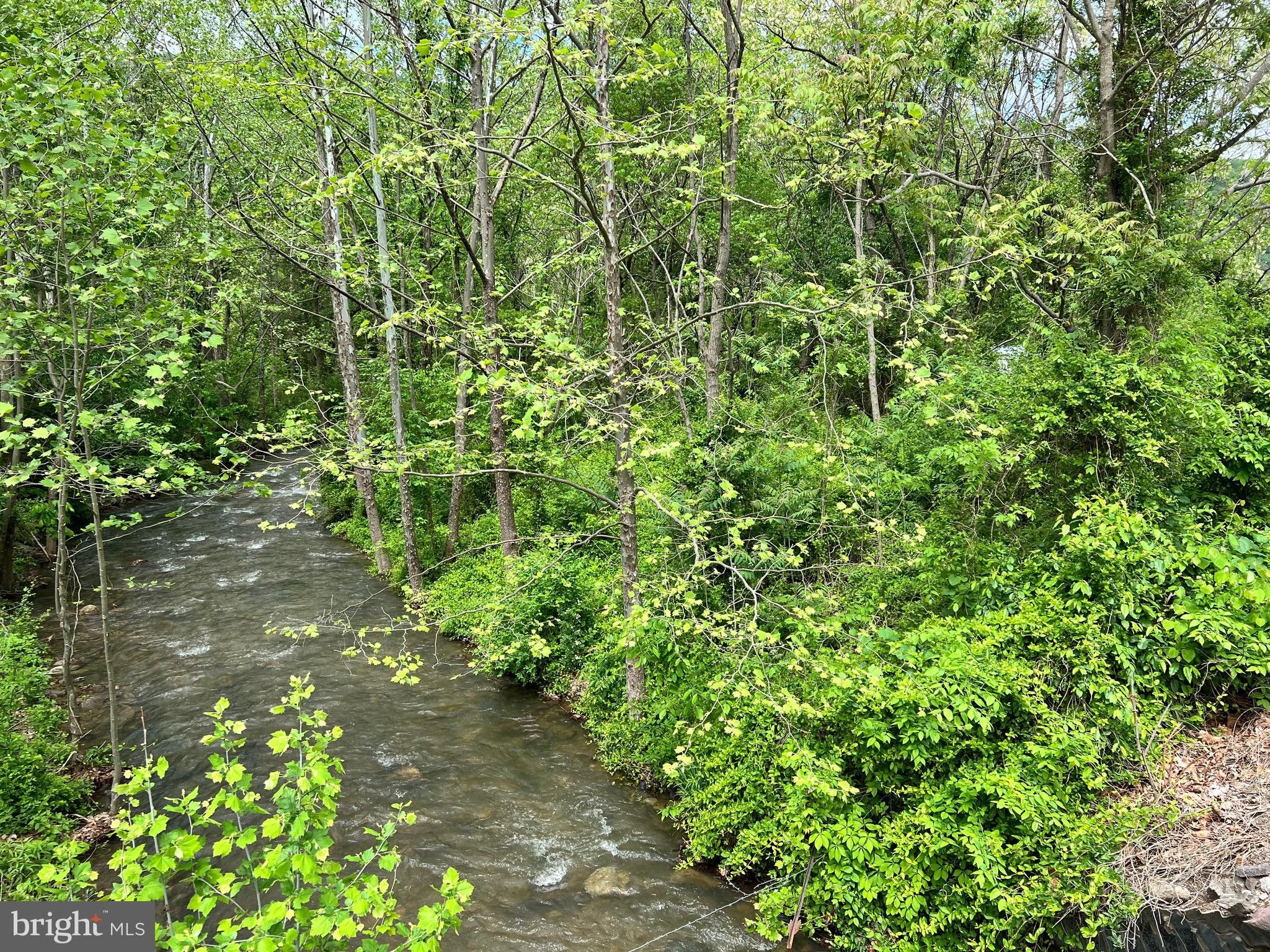 4514 SOUTH FORK ROAD, Moorefield, WV 26836 MLS WVHD105438 Land and