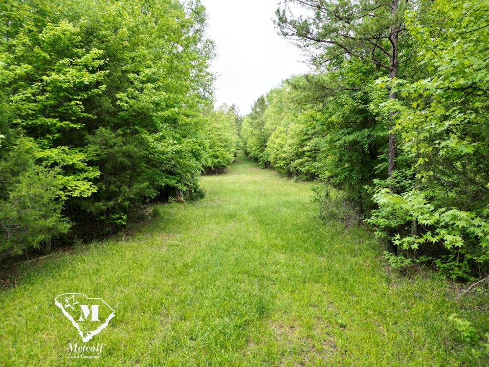Freeley Road, Donalds, SC 29638 MLS 519000 Land and Farm