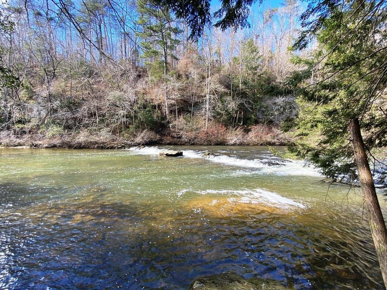 000 County Road 366, Bear Creek, AL 35543 Land and Farm