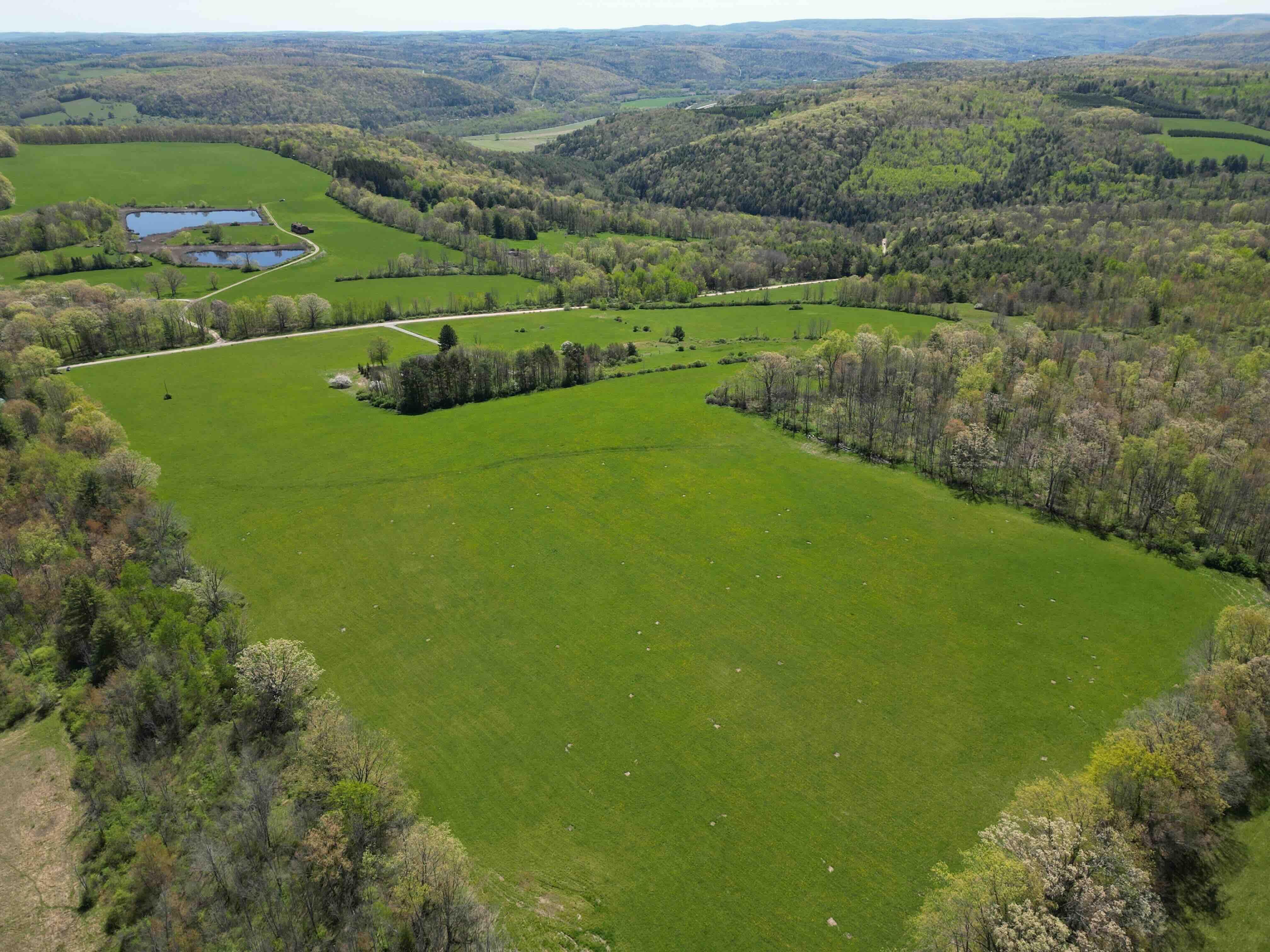 Engle Road, Lindley, NY 14858 Land and Farm