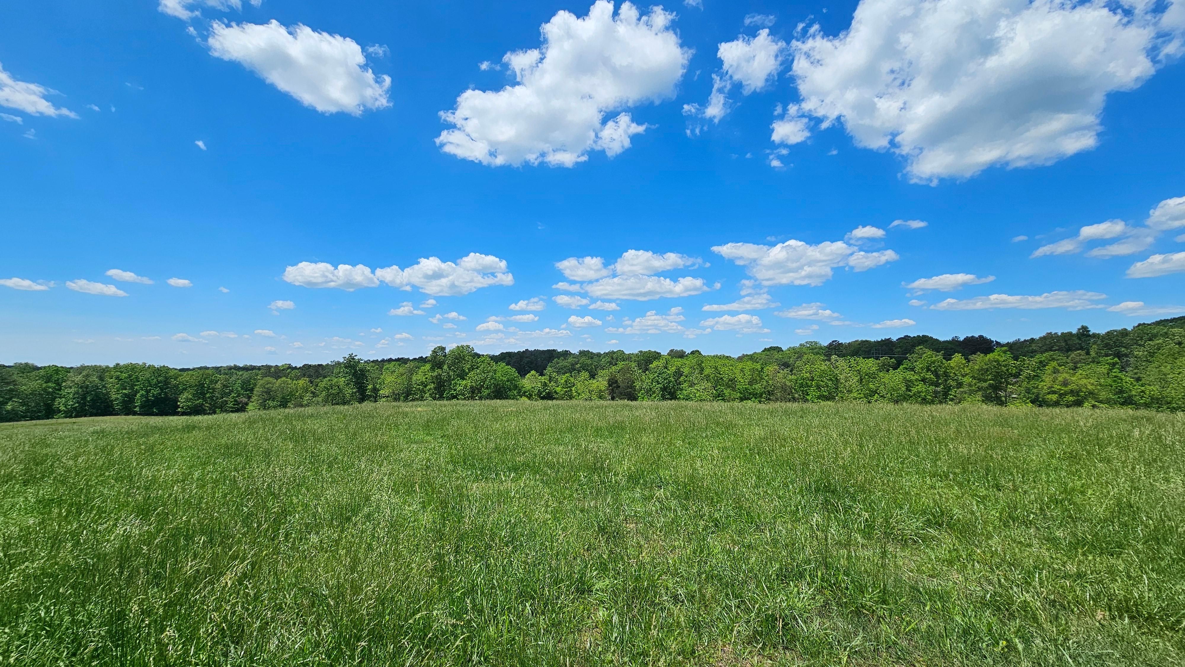 2063 Highway West, Summersville, MO 65571 MLS 60268266 Land and Farm