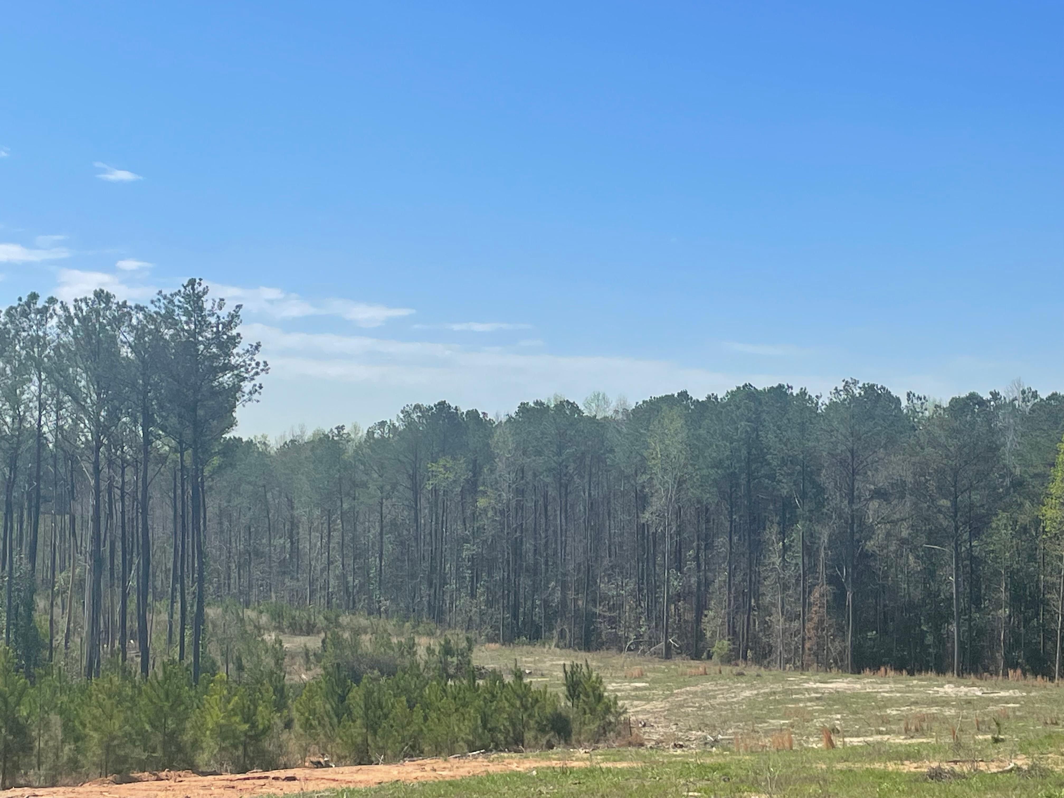 Primitive Pass, West Blocton, AL 35184 MLS 21379970 Land and Farm