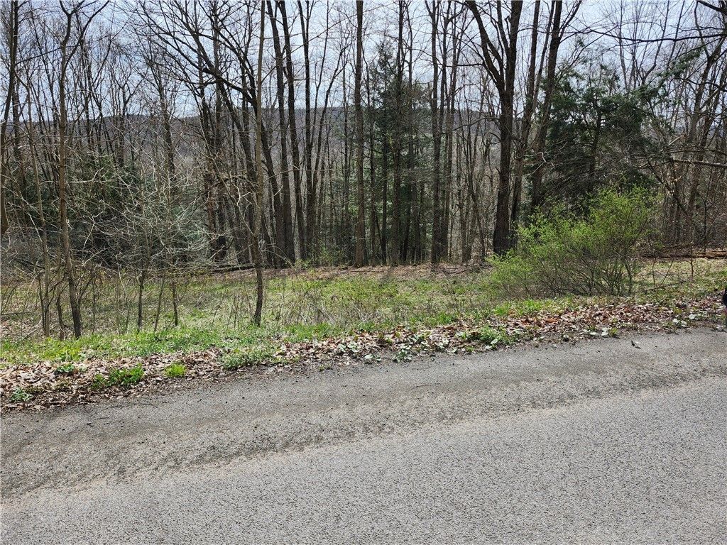 1272 Pine Hill Road, Masonville, NY 13804 MLS R1537241 Land and Farm