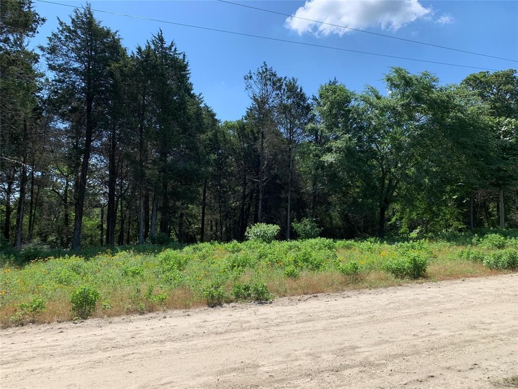 6.63 Acres, Tbd FM 2709, Athens, TX 75752 Land and Farm