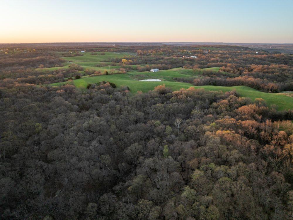 9787 Fox Lane, Orrick, MO 64077 MLS Ray 159 Land and Farm