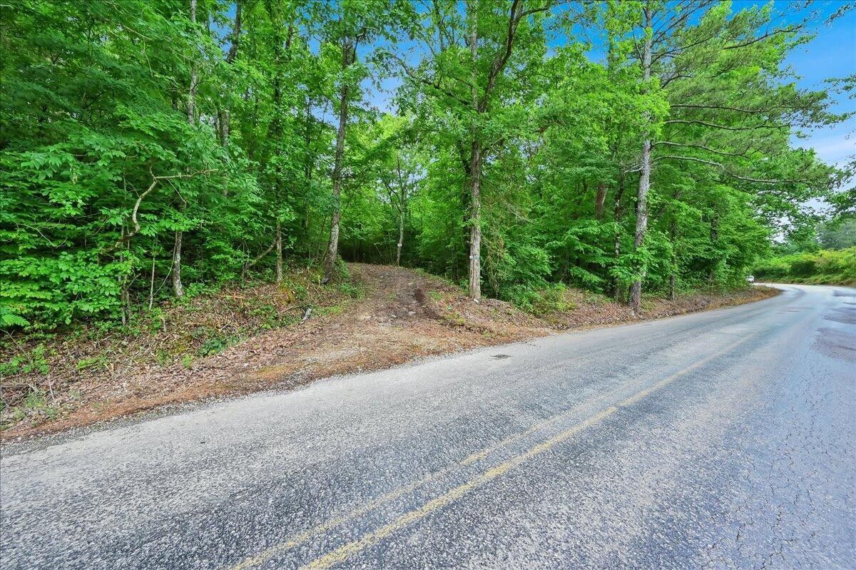 173 CO RD 282, Cullman, AL 35057 MLS 241028 Land and Farm