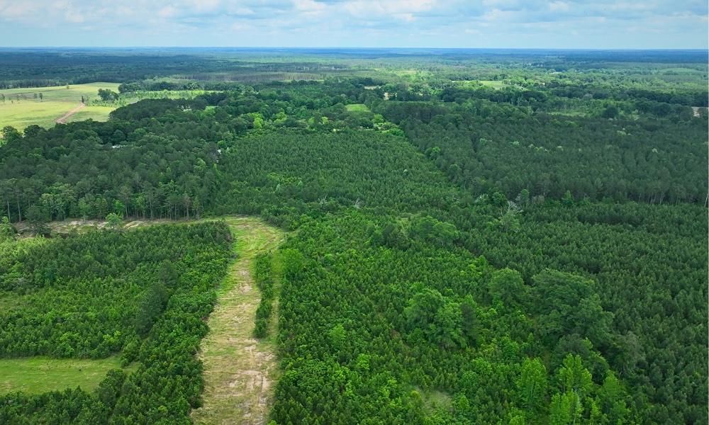 Mack Cemetery Road, Bassfield, MS 39421 Land and Farm