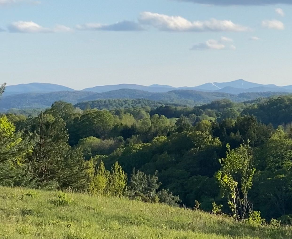 503 VT100, Tunbridge, VT 05077 MLS VT1336 Land and Farm