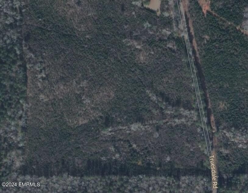 Truesdale Road, Carthage, MS 39051 MLS 24533 Land and Farm
