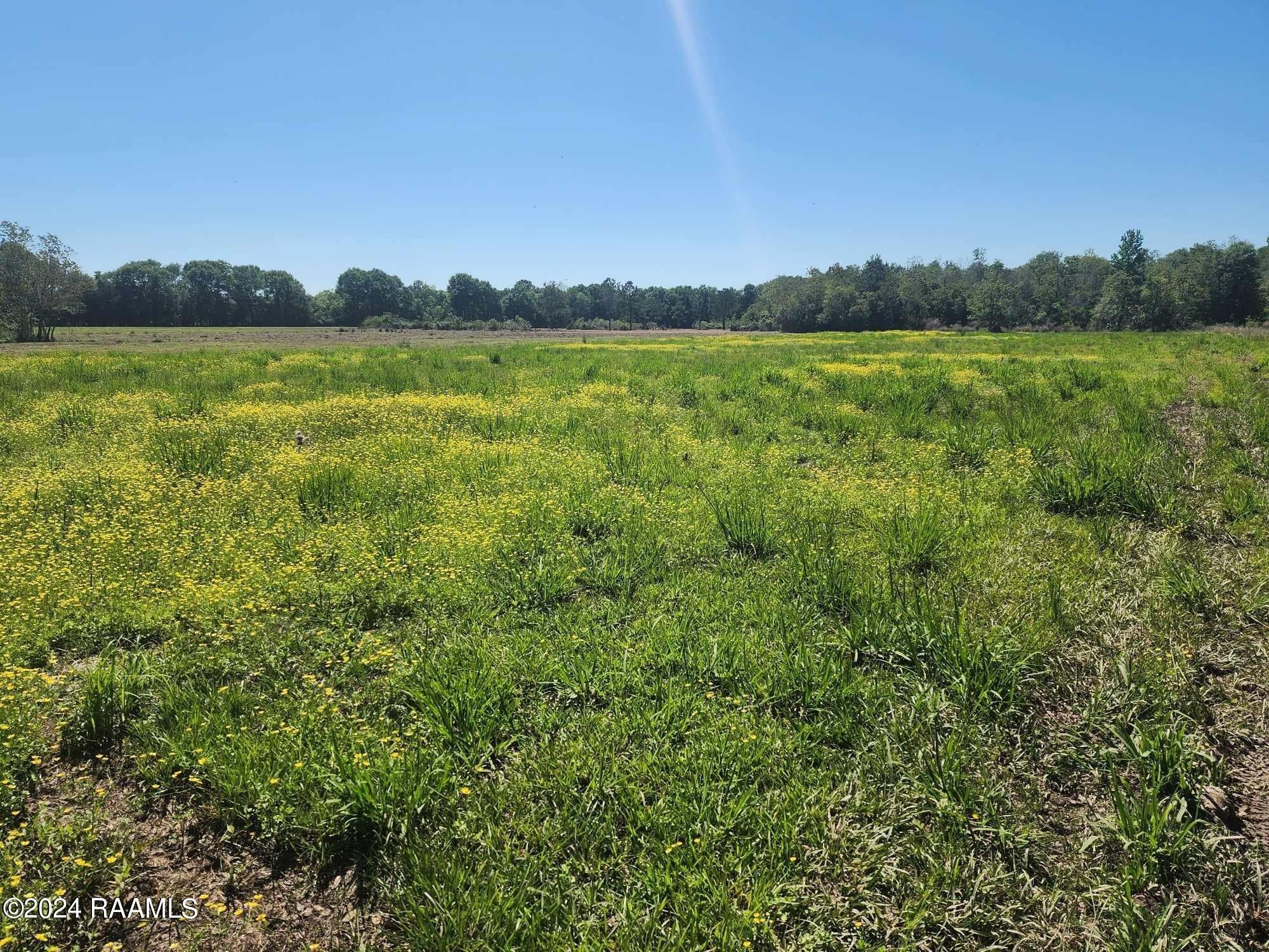 5.7 Acres, Duck Rd Lot A3, Cankton, LA 70584 Land and Farm