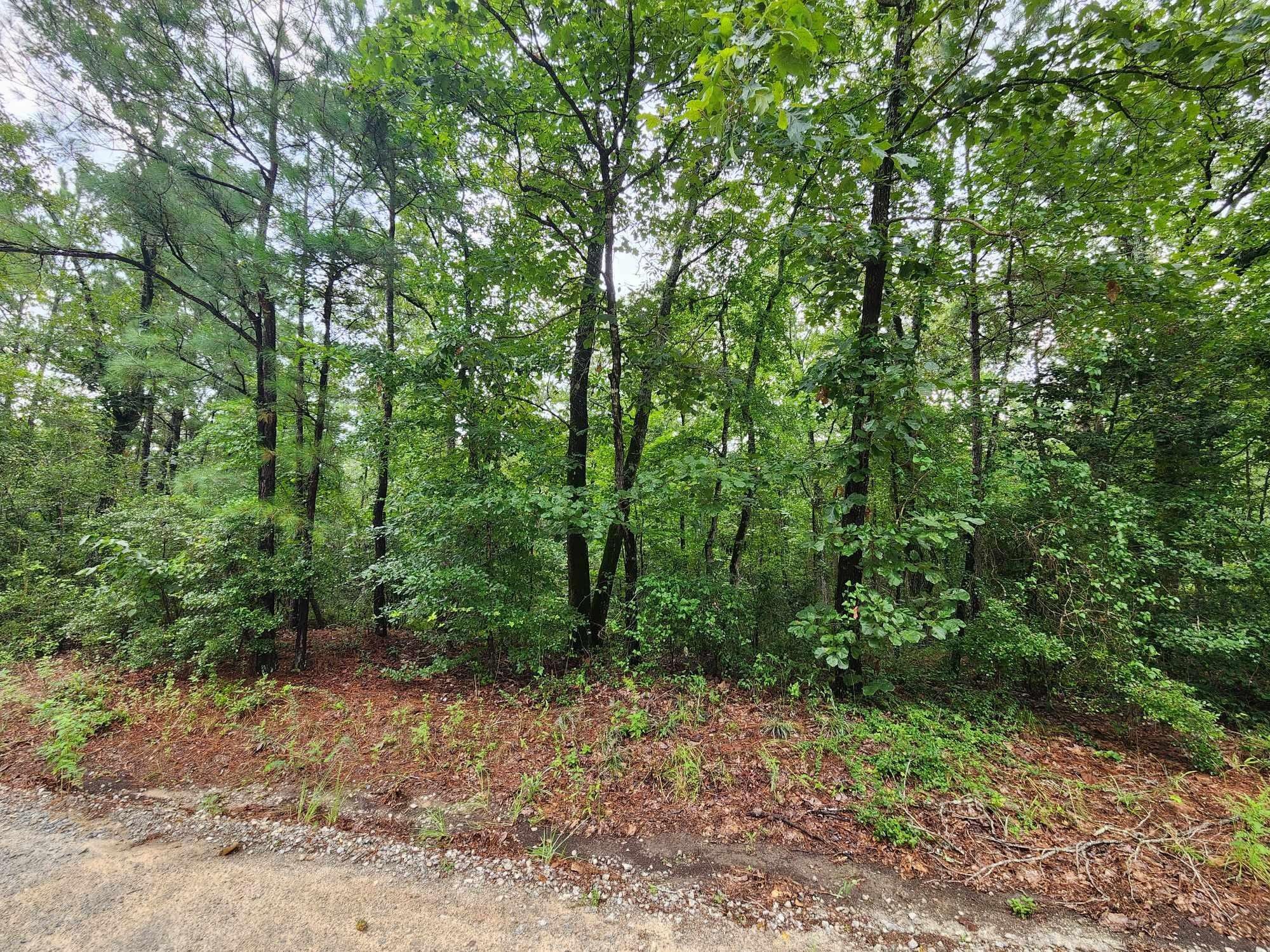 143 PRESSLEY Lane, Hephzibah, GA 30815 MLS 528804 Land and Farm