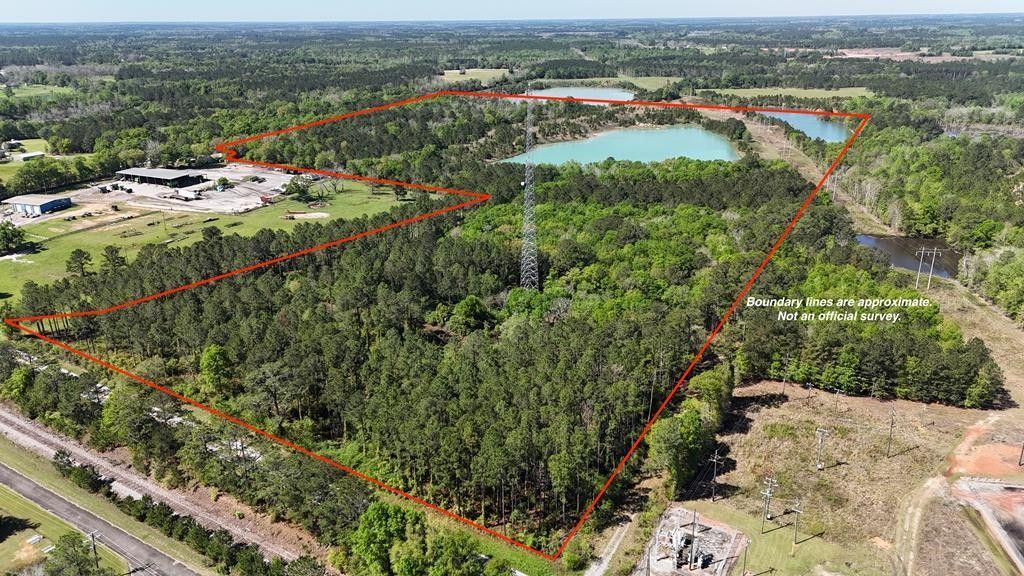 80 Acres, 27867 GA Hwy 3, Ochlocknee, GA 31773 Land and Farm